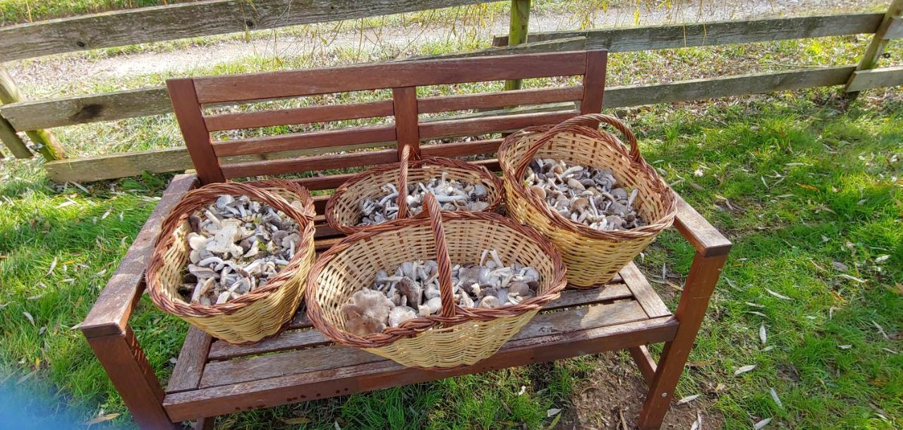 灿培乡村民宿 Oix 外观 照片